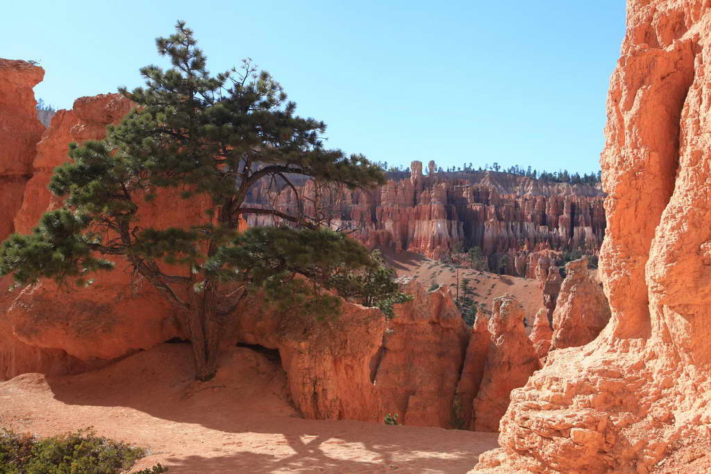 Bryce Canyon NP